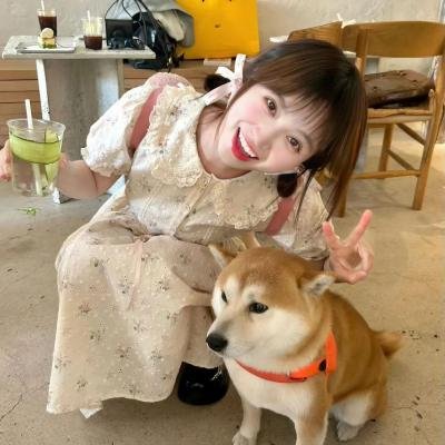 我爱贝克汉姆