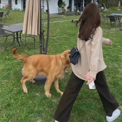 走进约翰·凯泽尔